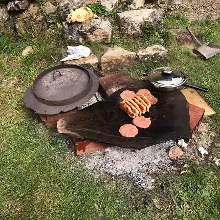 Stefanovica Kuca Tatil Evi Babusnica