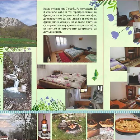 Stefanovica Kuca Holiday home *