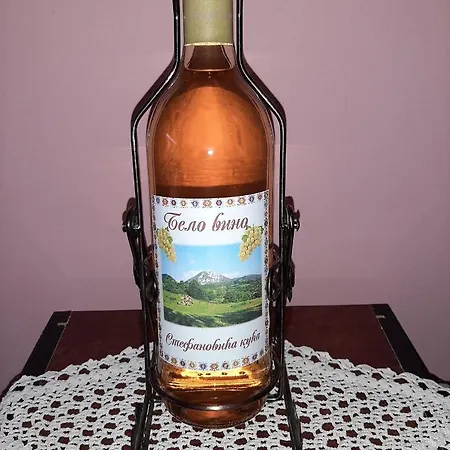 Tatil Evi Stefanovica Kuca