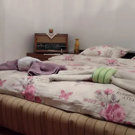 Holiday home Stefanovica Kuca *