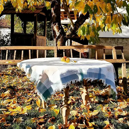 Stefanovica Kuca Tatil Evi Babusnica